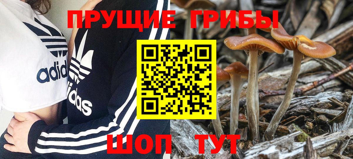 Галлюциногенные грибы ЛСД  Вход с VPN  Новоуральск 